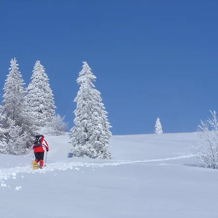 Otel Landgasthof Adler 3*