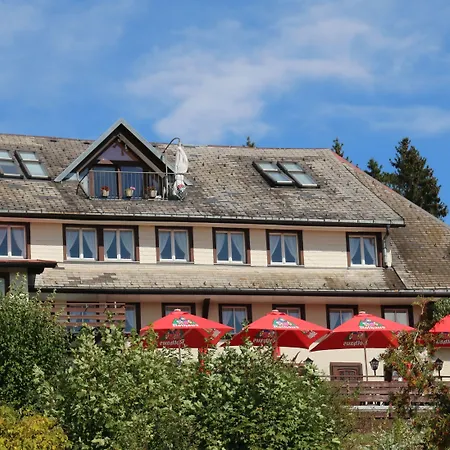 Landgasthof Adler Otel 3*