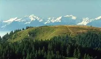 Landgasthof Adler فندق