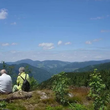 Landgasthof Adler Hotel
